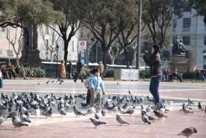 Plaça de Catalunya